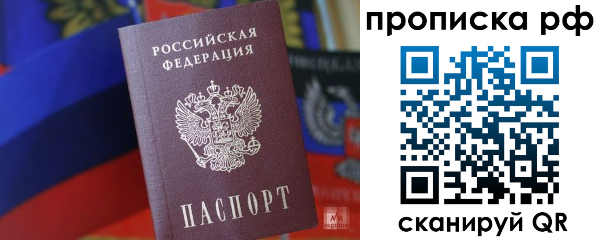 временная регистрация надежно в Коле
